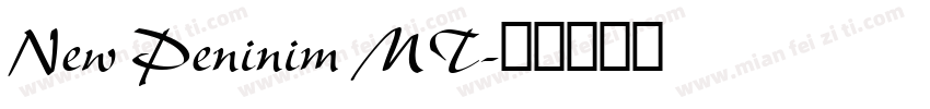 New Peninim MT字体转换